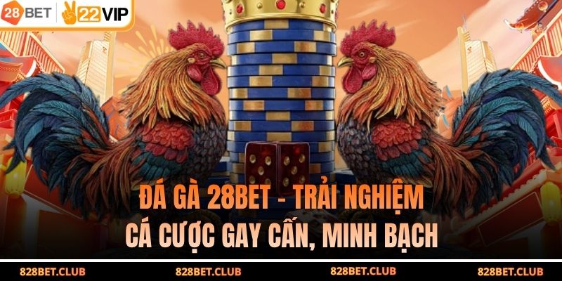 Đá gà 28BET - Trải Nghiệm Cá Cược Gay Cấn, Minh Bạch